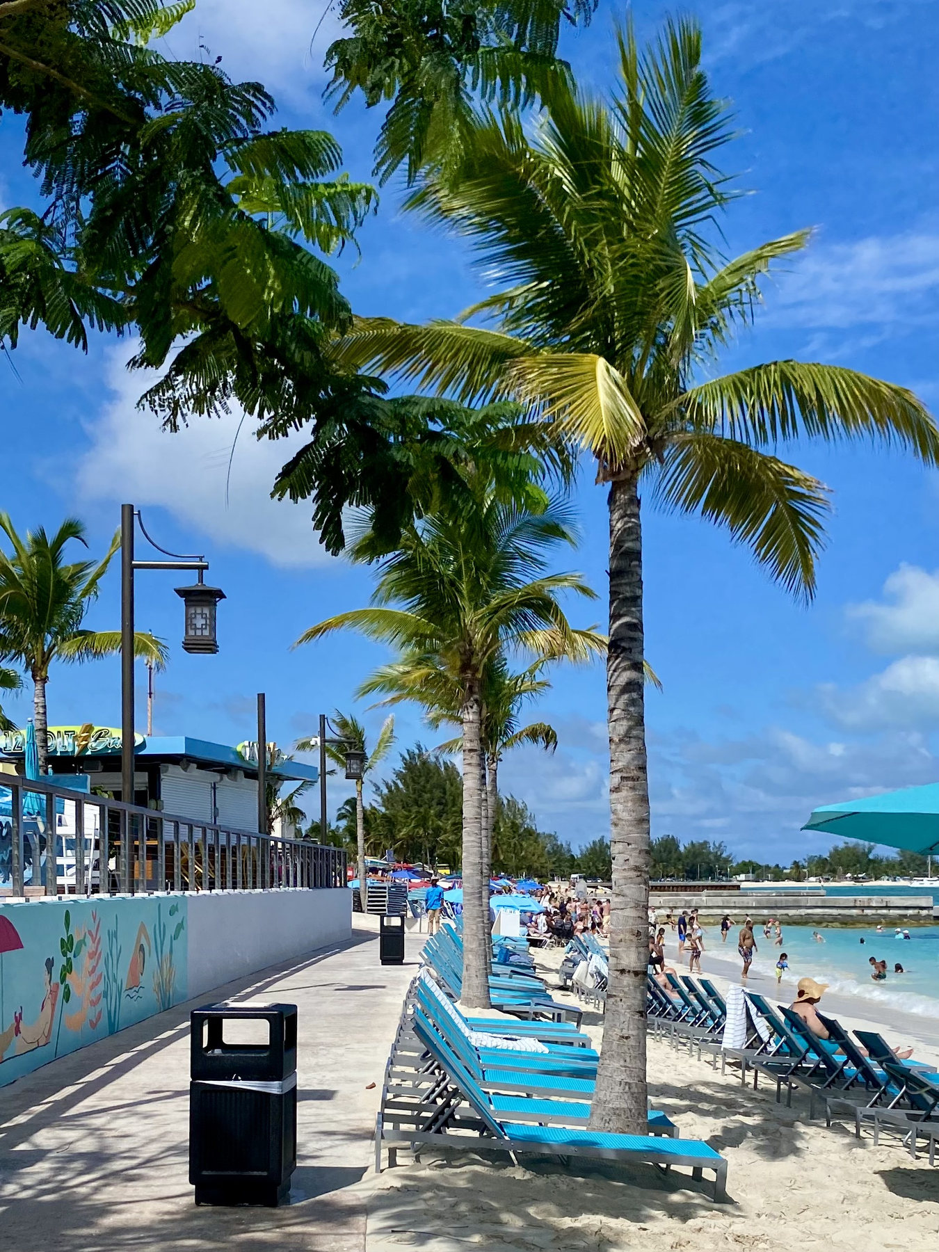 Palm trees beside a bright waterfront walkway